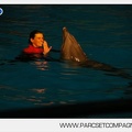 Marineland - Dauphins - Spectacle 17h30 - 0141