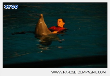 Marineland - Dauphins - Spectacle 17h30 - 0142