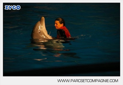 Marineland - Dauphins - Spectacle 17h30 - 0143