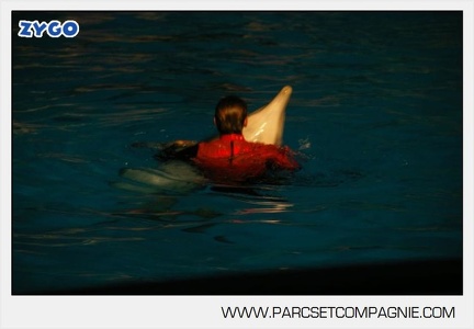 Marineland - Dauphins - Spectacle 17h30 - 0144