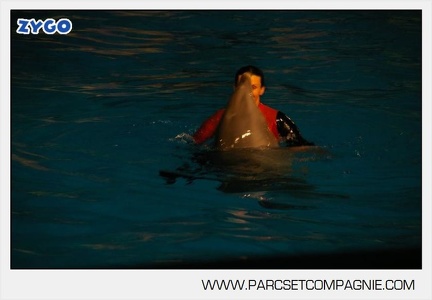 Marineland - Dauphins - Spectacle 17h30 - 0145
