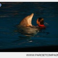 Marineland - Dauphins - Spectacle 17h30 - 0146