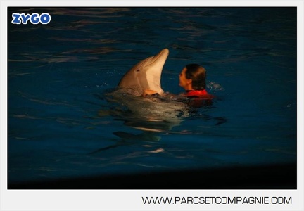 Marineland - Dauphins - Spectacle 17h30 - 0146