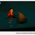 Marineland - Dauphins - Spectacle 17h30 - 0148