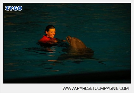 Marineland - Dauphins - Spectacle 17h30 - 0149