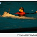 Marineland - Dauphins - Spectacle 17h30 - 0151
