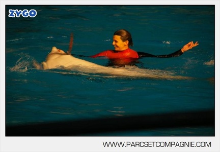 Marineland - Dauphins - Spectacle 17h30 - 0151