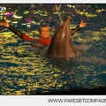 Marineland - Dauphins - Spectacle 17h30 - 0154