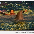 Marineland - Dauphins - Spectacle 17h30 - 0156