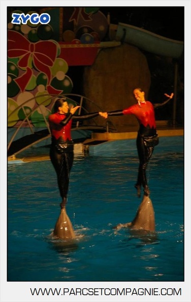 Marineland - Dauphins - Spectacle 17h30 - 0158