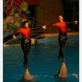 Marineland - Dauphins - Spectacle 17h30 - 0159