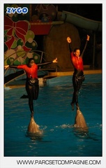 Marineland - Dauphins - Spectacle 17h30 - 0160