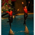 Marineland - Dauphins - Spectacle 17h30 - 0160