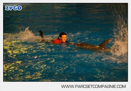 Marineland - Dauphins - Spectacle 17h30 - 0164