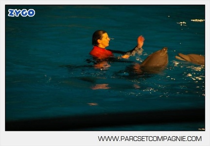 Marineland - Dauphins - Spectacle 17h30 - 0166