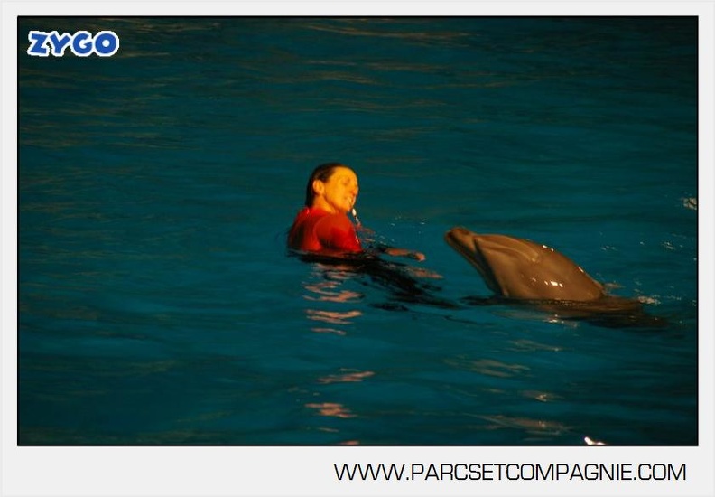 Marineland - Dauphins - Spectacle 17h30 - 0167