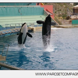 08 - Marineland - 03 Avril 2011