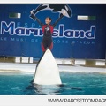 Marineland - Orques - Spectacle de l apres midi - 3293