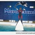 Marineland - Orques - Spectacle de l apres midi - 3294