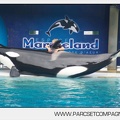 Marineland - Orques - Spectacle de l apres midi - 3330