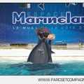 Marineland - Orques - Spectacle de l apres midi - 3367