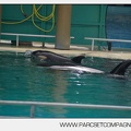 Marineland - bebe orque - 3596