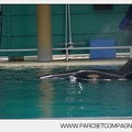 Marineland - bebe orque - 3601