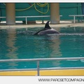 Marineland - bebe orque - 3603