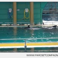 Marineland - bebe orque - 3612