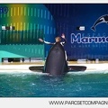 Marineland - Orques - Spectacle - 3765