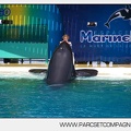 Marineland - Orques - Spectacle - 3766