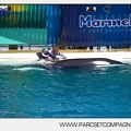 Marineland - Orques - Spectacle - 3769