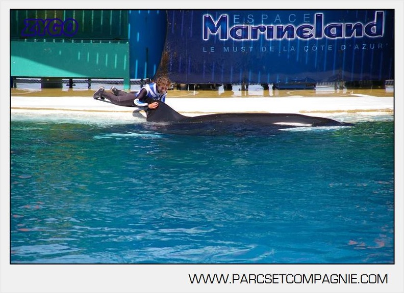 Marineland - Orques - Spectacle - 3770