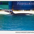 Marineland - Orques - Spectacle - 3770