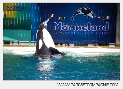 Marineland - Orques - Spectacle - 3773