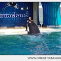Marineland - Orques - Spectacle - 3797