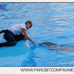 Marineland - Dauphins - Seance