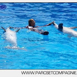 Marineland - Dauphins - Spectacle matin