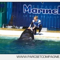 Marineland - Orques - Spectacle - 4102