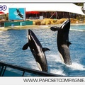 Marineland - Orques - Spectacle - 4108