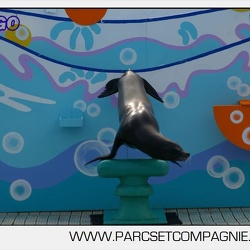 Marineland - Otaries - Spectacle