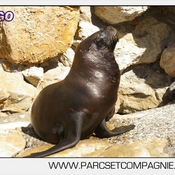 13 - Marineland - 29 Mai 2011