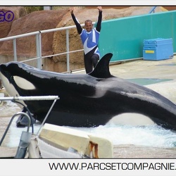 Marineland - Orques - Spectacle