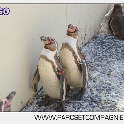 15 - Marineland - 04 Juin 2011