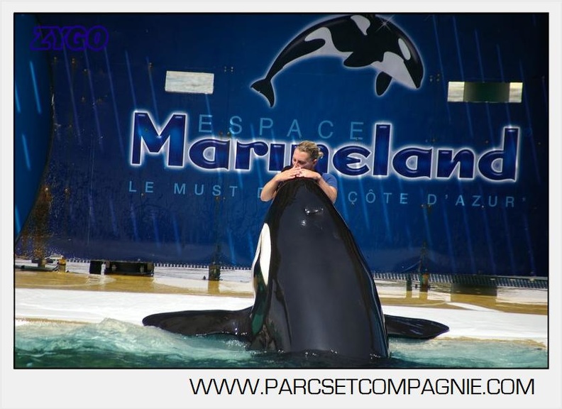 Marineland_-_Orques_-_Spectacle_-_4823.jpg