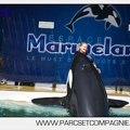 Marineland - Orques - Spectacle - 4824