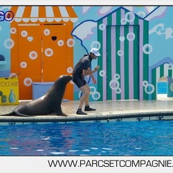 Marineland - Otaries - Spectacle