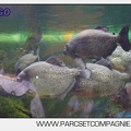 Marineland - Aquariums Tropicaux - 4942