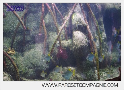 Marineland - Aquariums Tropicaux - 4944