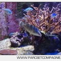 Marineland - Aquariums Tropicaux - 4946